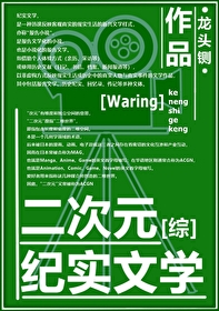二次元纪实文学