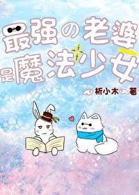 最强的老婆是魔法少女